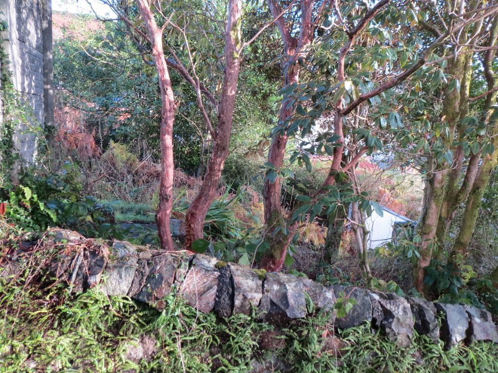 Elmbank Garden Apartment Oban Quarto foto
